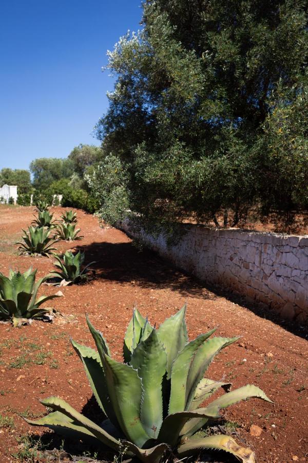 Lamia Petricore * Ostuni