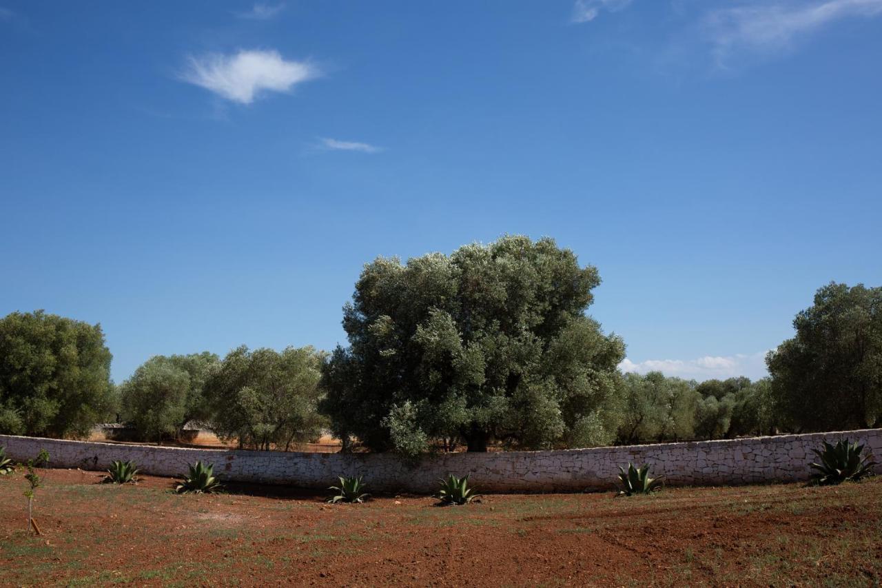 Lamia Petricore Holiday home Ostuni