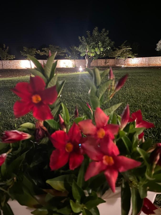 Lamia Petricore Ferienhaus Ostuni